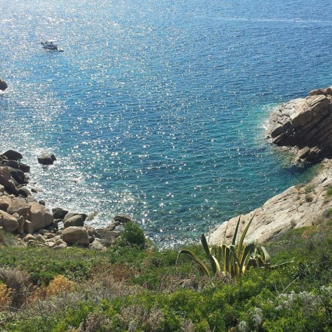 Isola del Giglio