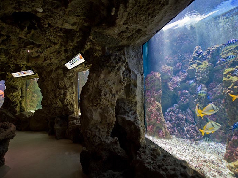 acquario di livorno